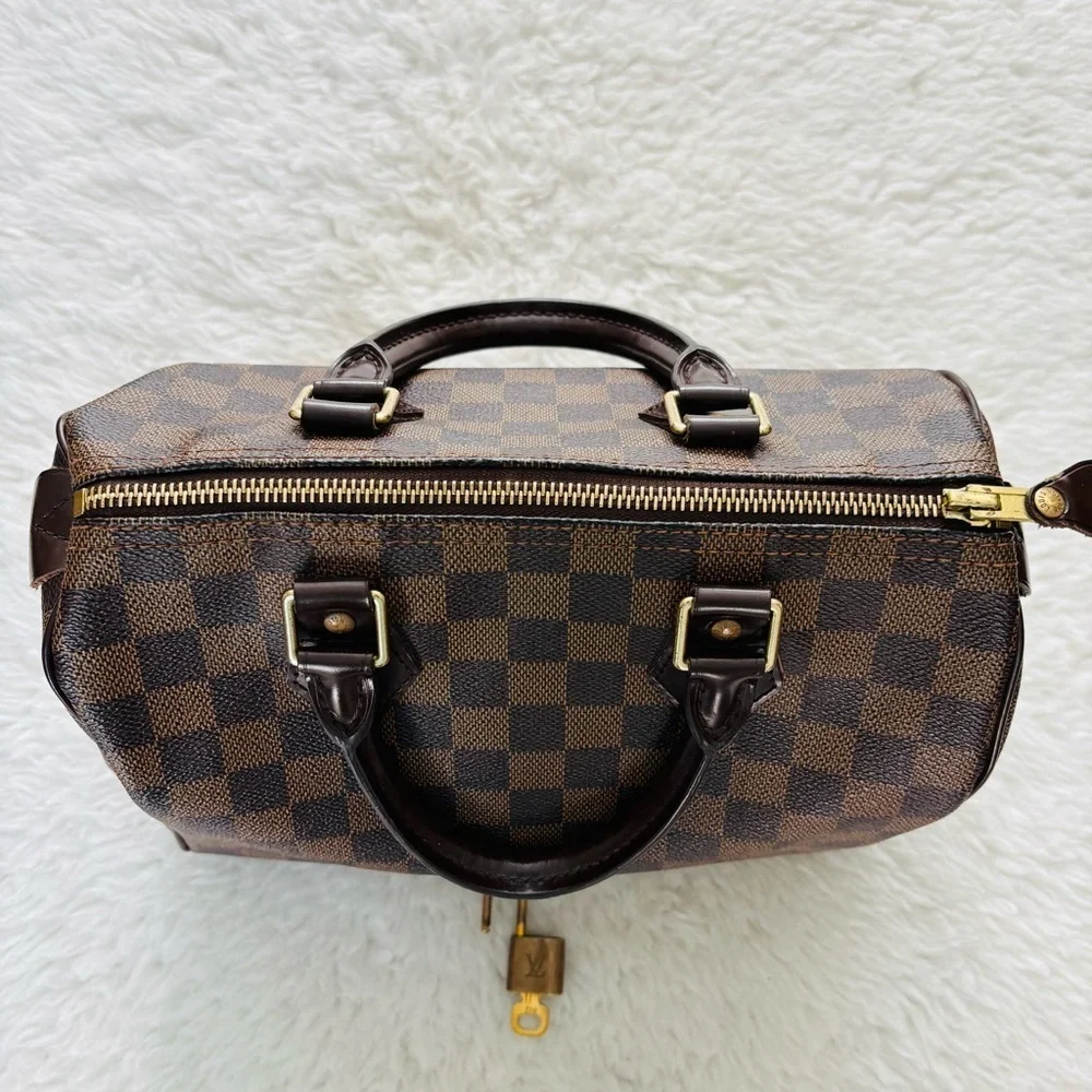 Louis Vuitton Damier Ebene Speedy 25 Bag